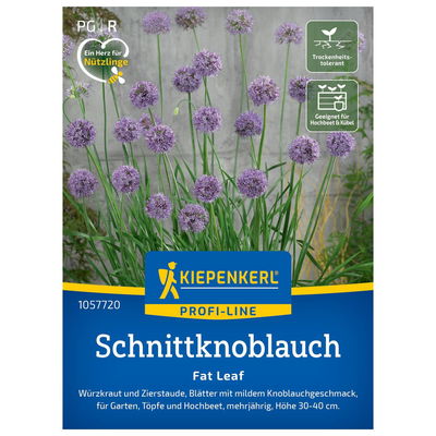 Saatgut, Schnittknoblauch 'Fat Leaf', grün