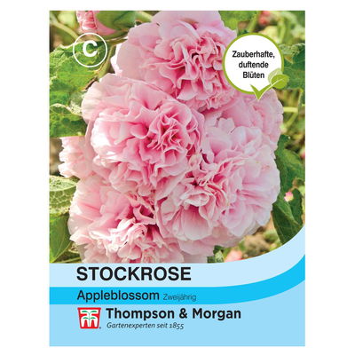 Thompson & Morgan Blumensamen Stockrose Appleblossom