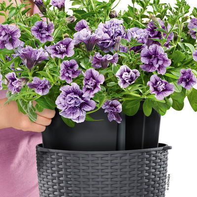 Lechuza 'Nido Cottage 35', mokka, ca. Ø 35 x H 23 cm