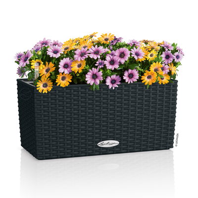 Lechuza Pflanzkasten 'Balconera Cottage 40', schwarz, ca. 40 x 19 x H 19 cm