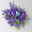 Hängepolster-Glockenblume 'Adansa® Purple' blau-weiß, Ampeltopf-Ø 19 cm