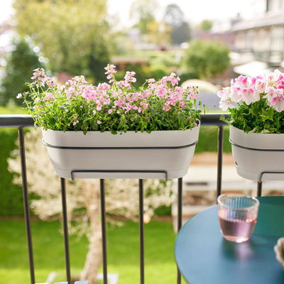 Elho Pflanzgefäß 'Vibia Campana 50', seidenweiß, ca. 49 x 18 x H 17 cm Elho Pflanzgefäß 'Vibia Campana 50', seidenweiß, ca. 49 x 18 x H 17 cm