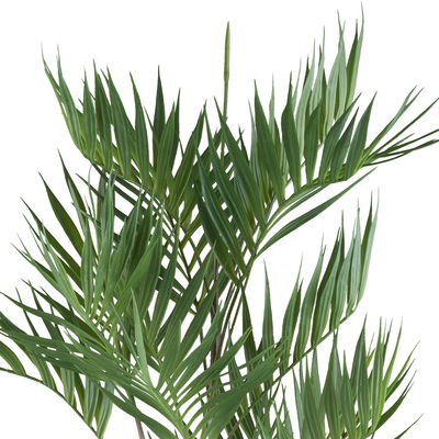 Kunstpflanze Goldfruchtpalme, Höhe ca. 90 cm Kunstpflanze Goldfruchtpalme, Höhe ca. 90 cm