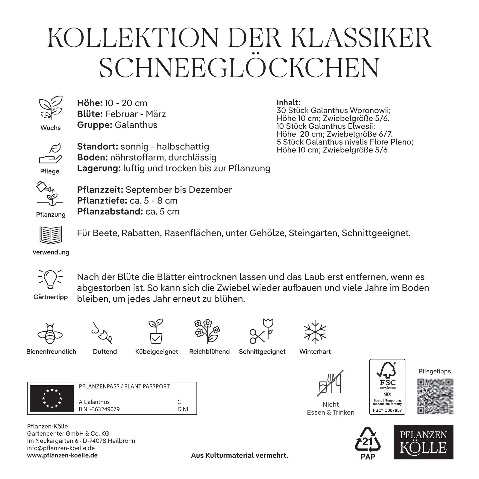 Schneeglöckchen Klassiker-Kollektion, 45 Blumenzwiebeln Schneeglöckchen Klassiker-Kollektion, 45 Blumenzwiebeln