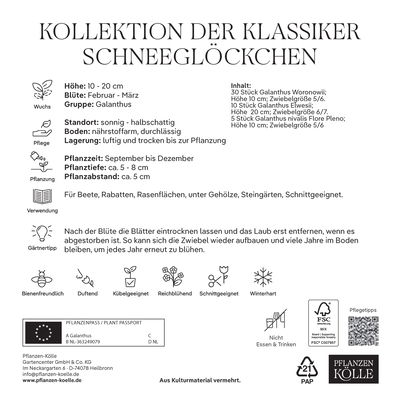 Schneeglöckchen Klassiker-Kollektion, 45 Blumenzwiebeln Schneeglöckchen Klassiker-Kollektion, 45 Blumenzwiebeln