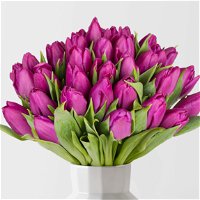 Blumenbund mit Tulpen, 30er-Bund, lila, inkl. gratis Grußkarte
