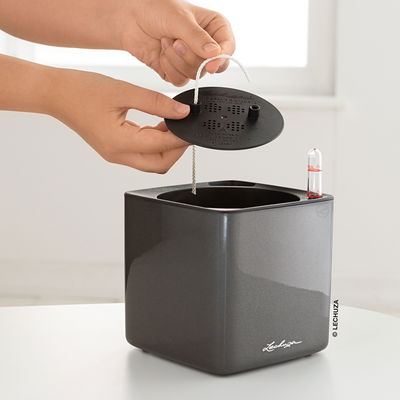 Lechuza 'Cube Glossy 14', anthrazit, ca. 14 x 14 x H 13,5 cm