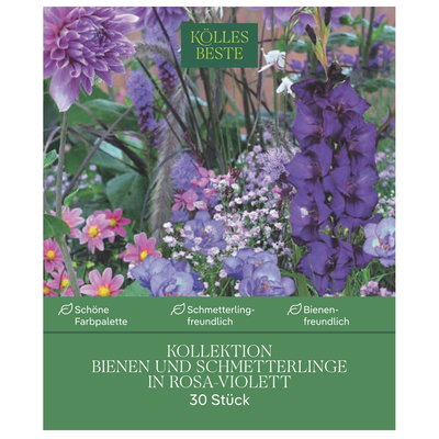 Kölles Kollektion Bienen & Schmetterlinge, rosa-violett, 30 Blumenknollen
