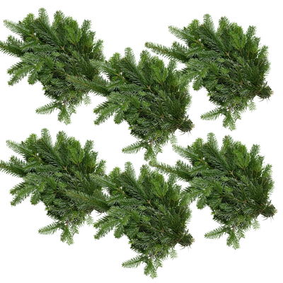 Nordmanntannen-Zweige im Handbund, Länge 40 - 60 cm, ca. 500 g, 6 Bund