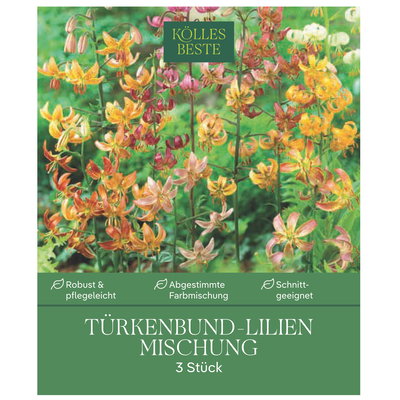 Kölles Beste Türkenbundlilie Mischung, Gr. 16/18, 3 Blumenknollen