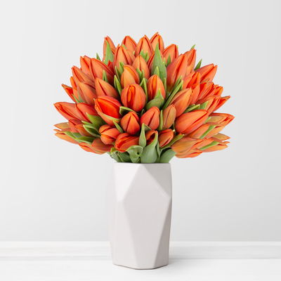 50 orangene Tulpen