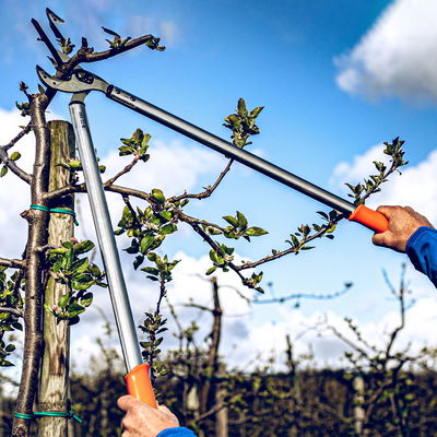 Gartenschere Original Löwe 22, Länge ca. 80 cm
