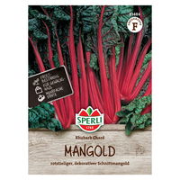 Saatgut Mangold 'Rhubarb Chard'