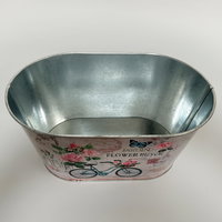 'Danke' - Dipladenien 'Qdeville®' rosa in Zinkschale