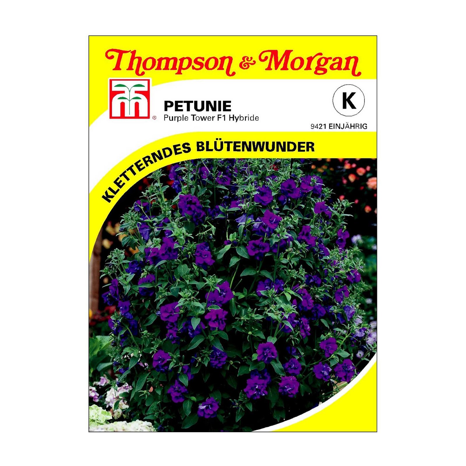 Petunie Purple Tower Hybrid, violette Blüten, einjährig blühend
