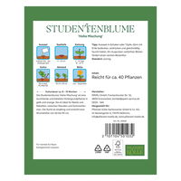 Kölles Beste Blumensamen, Studentenblume 'Hohe Mischung'