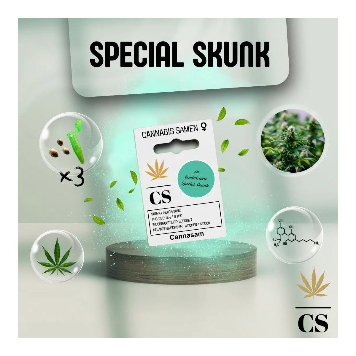 Cannabis Saatgut Hanf 'Special Skunk'