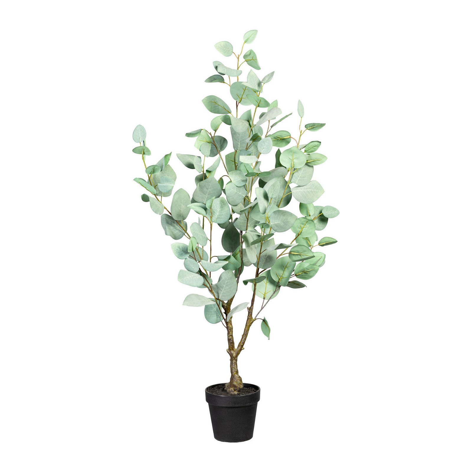 Kunstpflanze Eukalyptus populus, Höhe ca. 90 cm