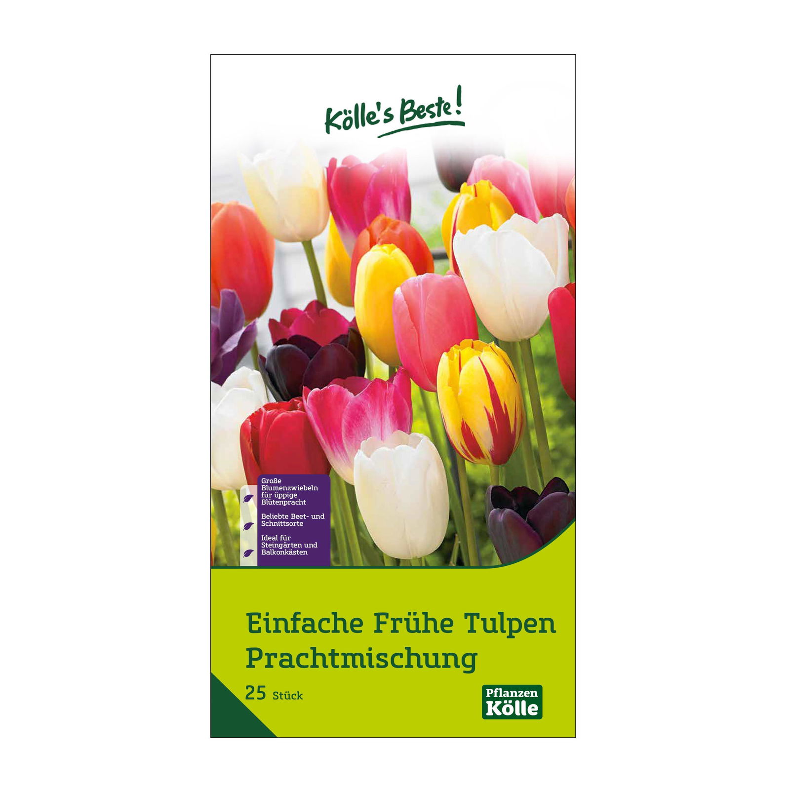 Einfache frühe Tulpen Prachtmischung, 25 Blumenzwiebeln