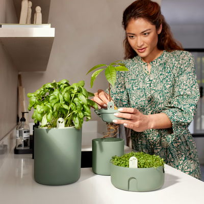 Elho Pflanzgefäß 'Amazing Avocado Pot', laubgrün, ca. Ø 12 x H 15,1 cm Elho Pflanzgefäß 'Amazing Avocado Pot', laubgrün, ca. Ø 12 x H 15,1 cm