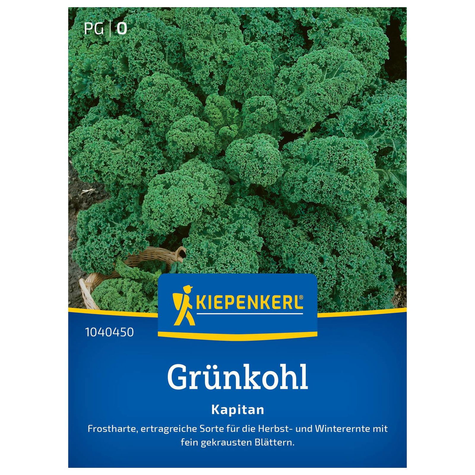 Kiepenkerl Saatgut Grünkohl 'Kapitan®', grün