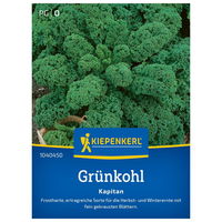 Kiepenkerl Saatgut Grünkohl 'Kapitan®', grün