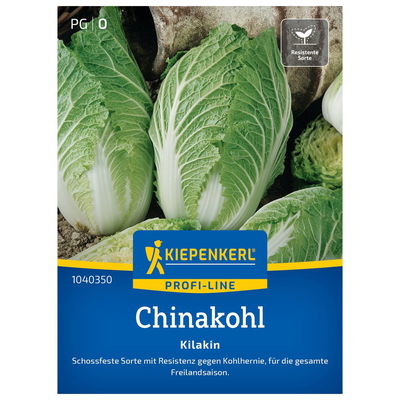 Gemüsesamen, Chinakohl 'Kilakin', grün Gemüsesamen, Chinakohl 'Kilakin', grün