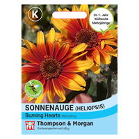 Thompson & Morgen Sonnenauge  