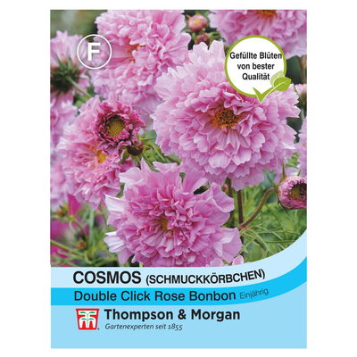 Thompson & Morgan Schmuckkörbchen 'Double click Rose Bonbon' Thompson & Morgan Schmuckkörbchen 'Double click Rose Bonbon'