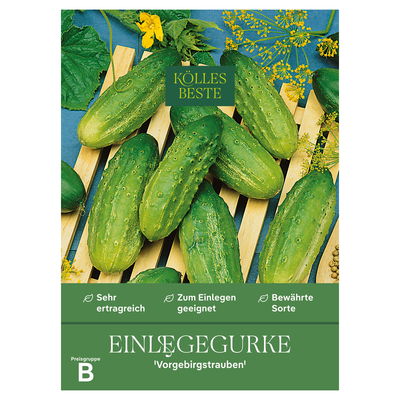 Kölles Beste Gemüsesamen, Einlegegurke 