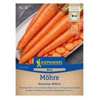 Kiepenkerl Saatgut Bio-Möhre 'Nantaise®', orange