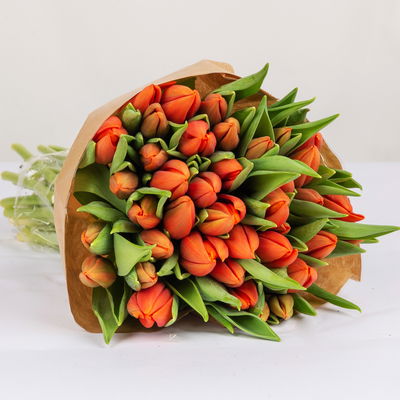 30 orangene Tulpen