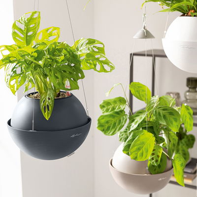 Lechuza 'Bola Color 32', schiefergrau, ca. Ø 32 x H 25 cm