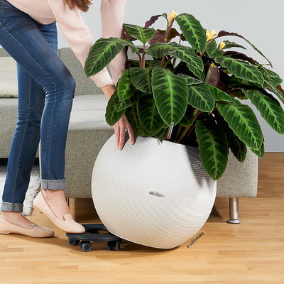 Lechuza 'Puro Color 50', weiß, ca. Ø 50 x H 39 cm Lechuza 'Puro Color 50', weiß, ca. Ø 50 x H 39 cm