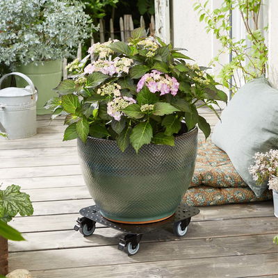 Pflanzenroller 'Alaska', Tragkraft 150 kg, anthrazit, Alu, 7 x 29 x 29 cm Pflanzenroller 'Alaska', Tragkraft 150 kg, anthrazit, Alu, 7 x 29 x 29 cm