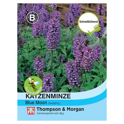 Thompson & Morgan Blumensamen Katzenminze Thompson & Morgan Blumensamen Katzenminze