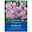 Blumensamen, Stockrose 'Chaters Pink', pink