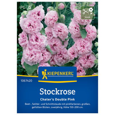 Blumensamen, Stockrose 'Chaters Pink', pink Blumensamen, Stockrose 'Chaters Pink', pink