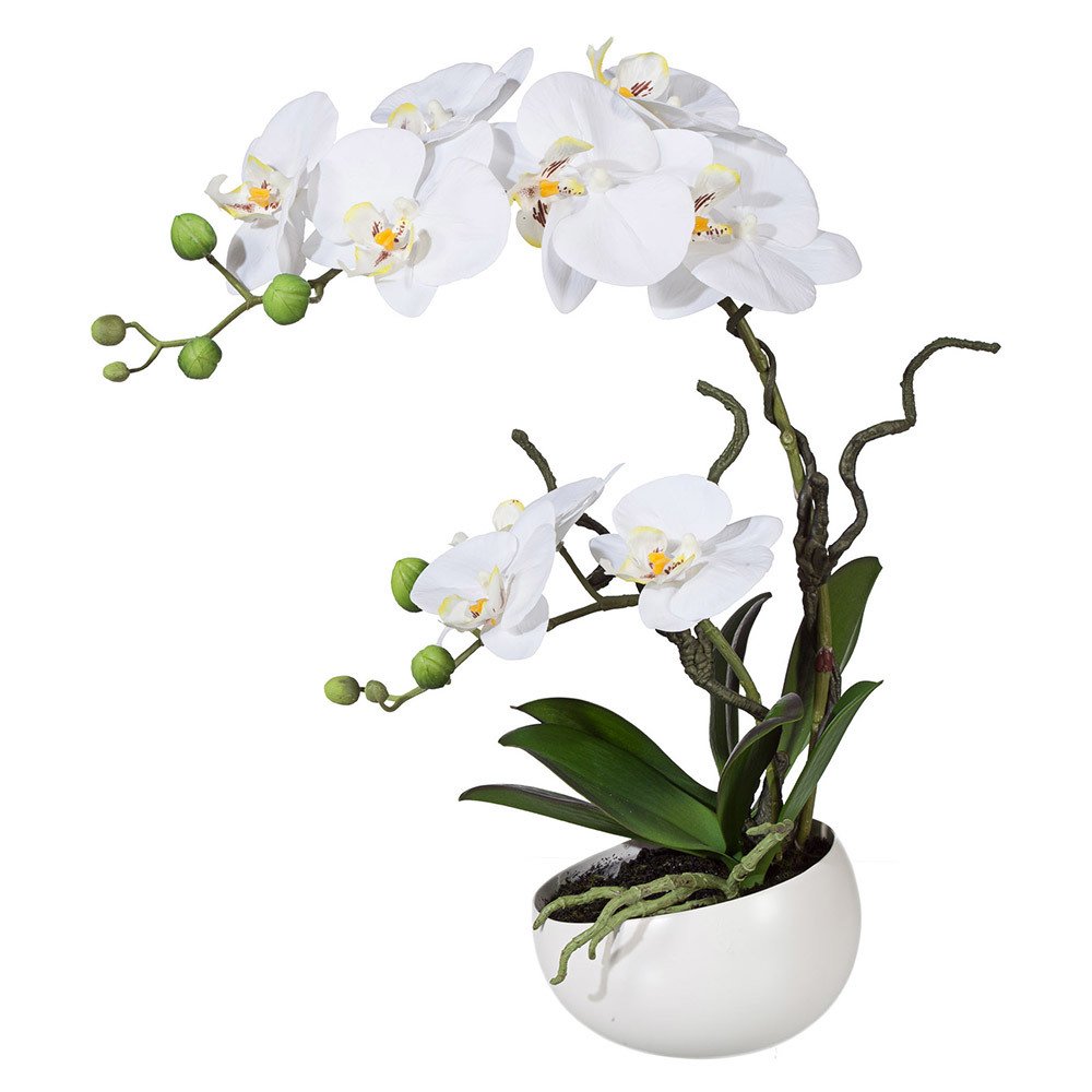 Kunstblume Orchidee Phalaenopsis weiß, in der Keramikschale, 42 cm hoch