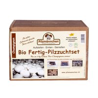 Bio Fertig-Pilzzuchtset Champignon klein