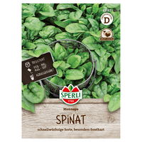 Sperli Saatgut Spinat 'Monnopa', grün