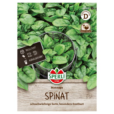 Sperli Saatgut Spinat 'Monnopa', grün