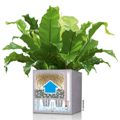 Lechuza 'Canto Stone 40 low', steingrau, ca. 40 x 40 x H 40 cm