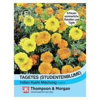 Samenmischung Tagetes, Studentenblume 'Indian Kushi', orange-gelb