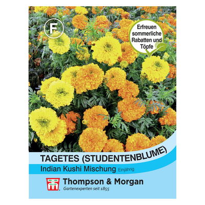 Samenmischung Tagetes, Studentenblume 'Indian Kushi', orange-gelb Samenmischung Tagetes, Studentenblume 'Indian Kushi', orange-gelb
