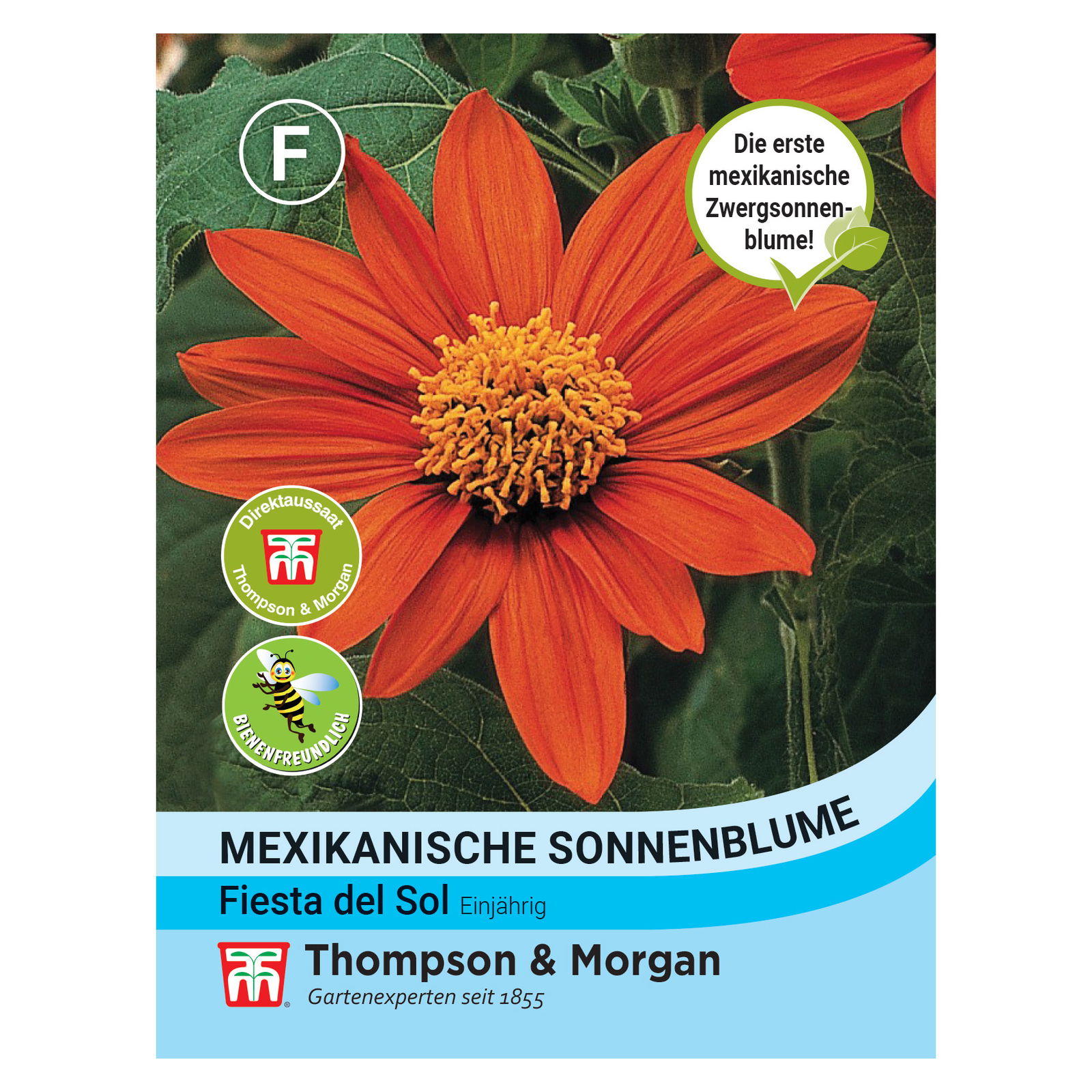 Thompson & Morgan Mexikanische Sonnenblume 'Fiesta Del Sol®', rot