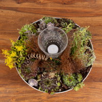 Online Kreativ-Kurs Online Kreativ-Kurs