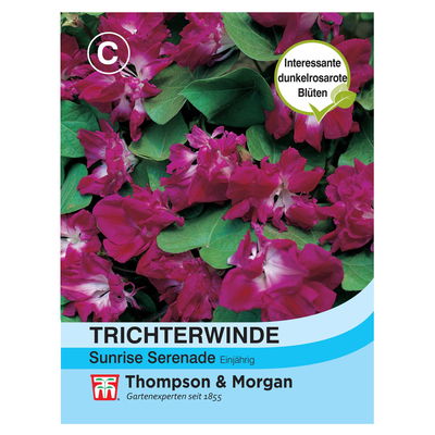 Thompson & Morgan Blumensamen Trichterwinde Sunrise Serenade Thompson & Morgan Blumensamen Trichterwinde Sunrise Serenade