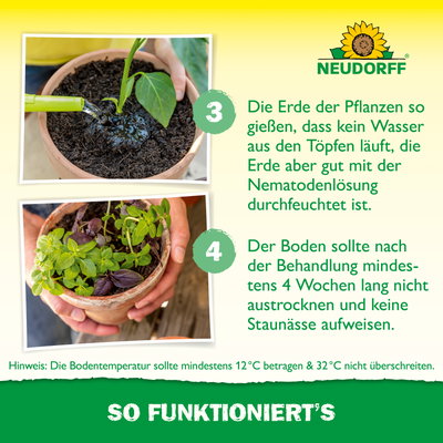 Neudorff Bestell-Set Nützlinge gegen Trauermücken, 5 Mio Stück Neudorff Bestell-Set Nützlinge gegen Trauermücken, 5 Mio Stück