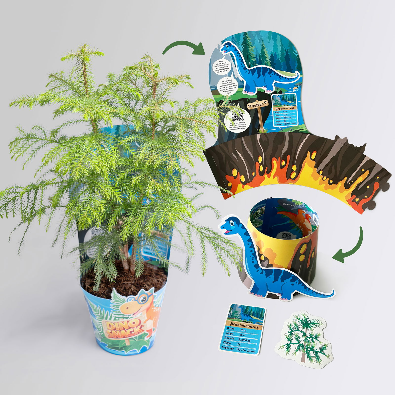 Dino Snack®, Benny & Sisko, Topf-Ø 14 cm, 2 Pflanzen